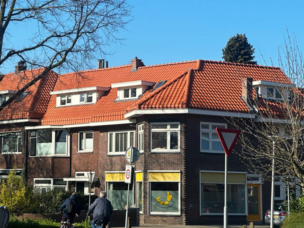 Dakpannen-renovatie-Zwolle